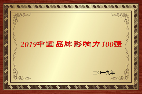 2019中国品牌影响力100强